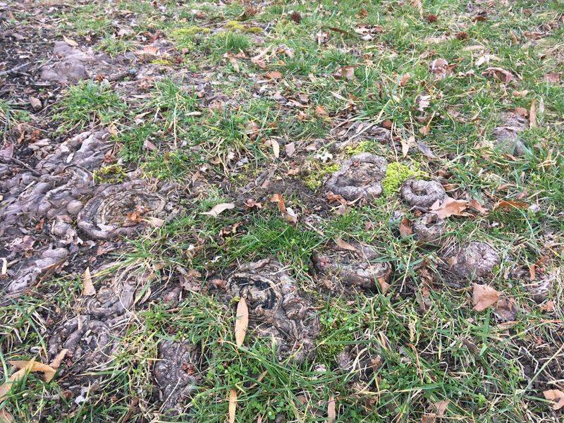 Ohio's Weather And Soil Practically Roll Out The Welcome Mat Ohio's Weather And Soil Practically Roll Out The Welcome Mat