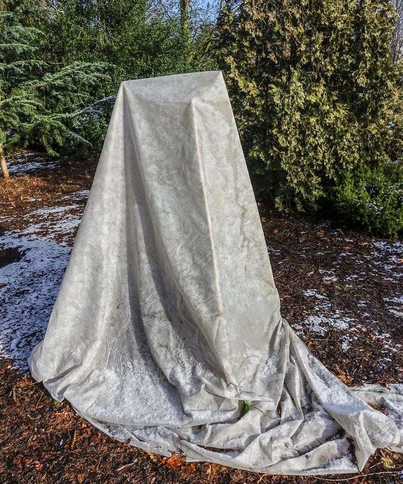 Old Bedsheets Over Tender Garden Beds