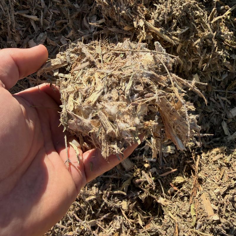Old Mulch Breaks Down Faster Than You Think Old Mulch Breaks Down Faster Than You Think