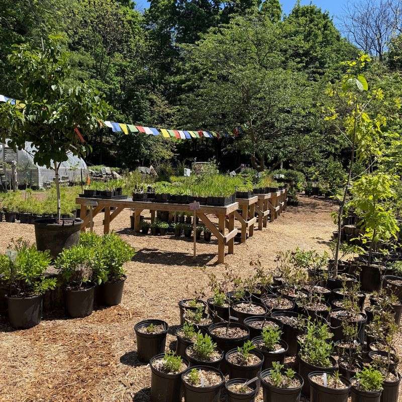 One Nature Plant Nursery One Nature Plant Nursery
