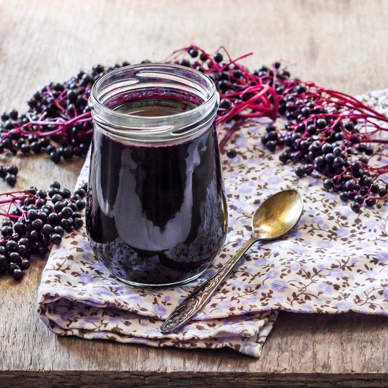 Only Ripe Cooked Berries Are Safe Only Ripe Cooked Berries Are Safe