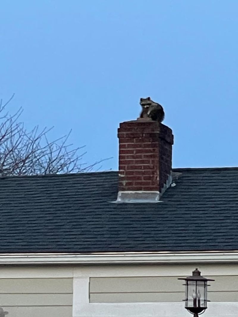 Open Chimneys Or Vents Open Chimneys Or Vents