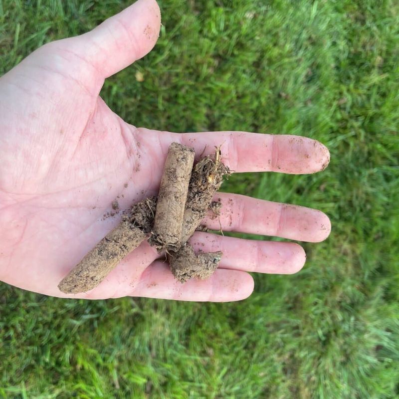 Open Up Compacted Soil With Core Aeration Open Up Compacted Soil With Core Aeration