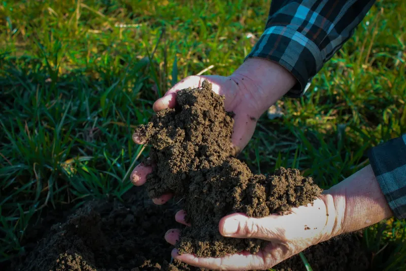 Organic Matter Becomes More Important