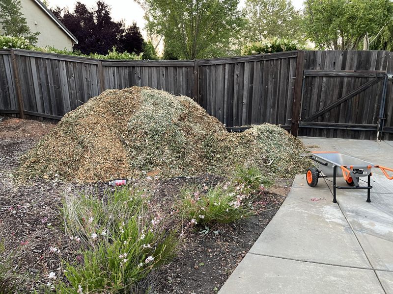 Organic Mulch Can Gradually Improve Soil As It Decomposes Organic Mulch Can Gradually Improve Soil As It Decomposes