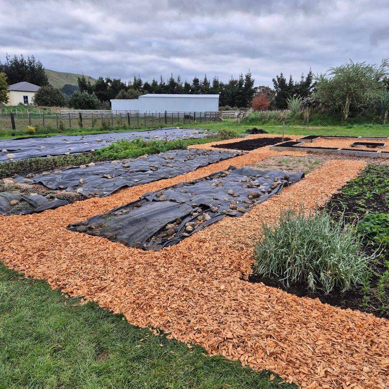 Organic Mulch Improves The Soil As It Breaks Down