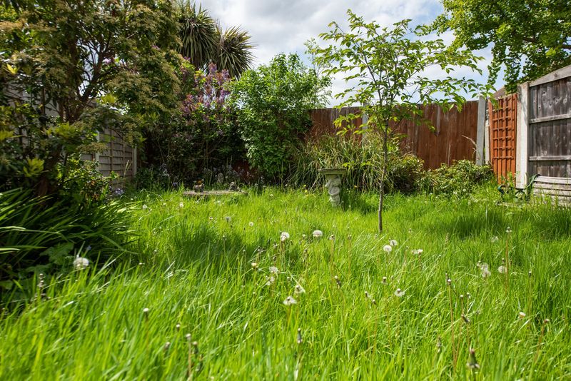 Overgrown Grass And Messy Piles