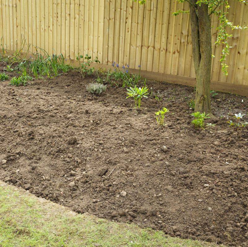 Overly Tidy Beds Remove Winter Habitat Overly Tidy Beds Remove Winter Habitat