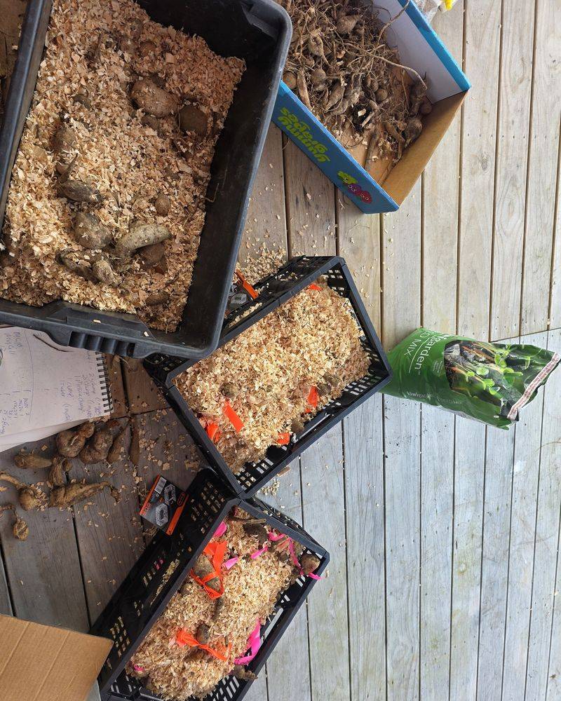 Pack Them Snugly In A Cozy Storage Box