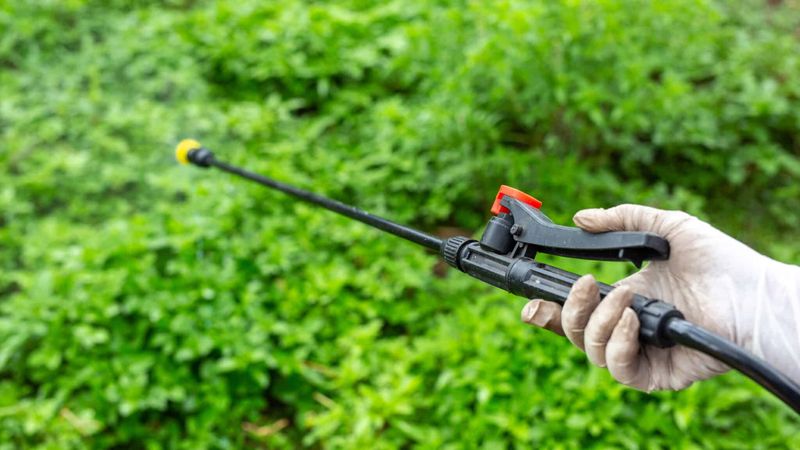 Pair Taller Habitat With Fewer Broad-Spectrum Lawn Sprays Pair Taller Habitat With Fewer Broad-Spectrum Lawn Sprays