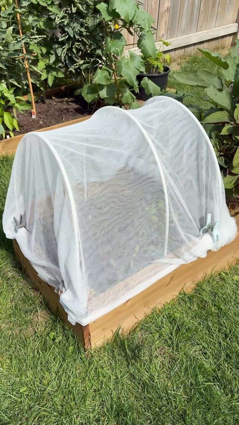 Pair Watering With Covers For Real Protection Pair Watering With Covers For Real Protection