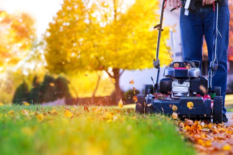 Pairing Your Last Mow With Fall Care Pairing Your Last Mow With Fall Care
