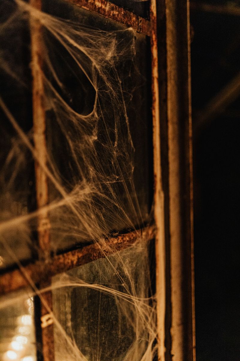 Papery, Irregular Webbing In Low, Hidden Corners