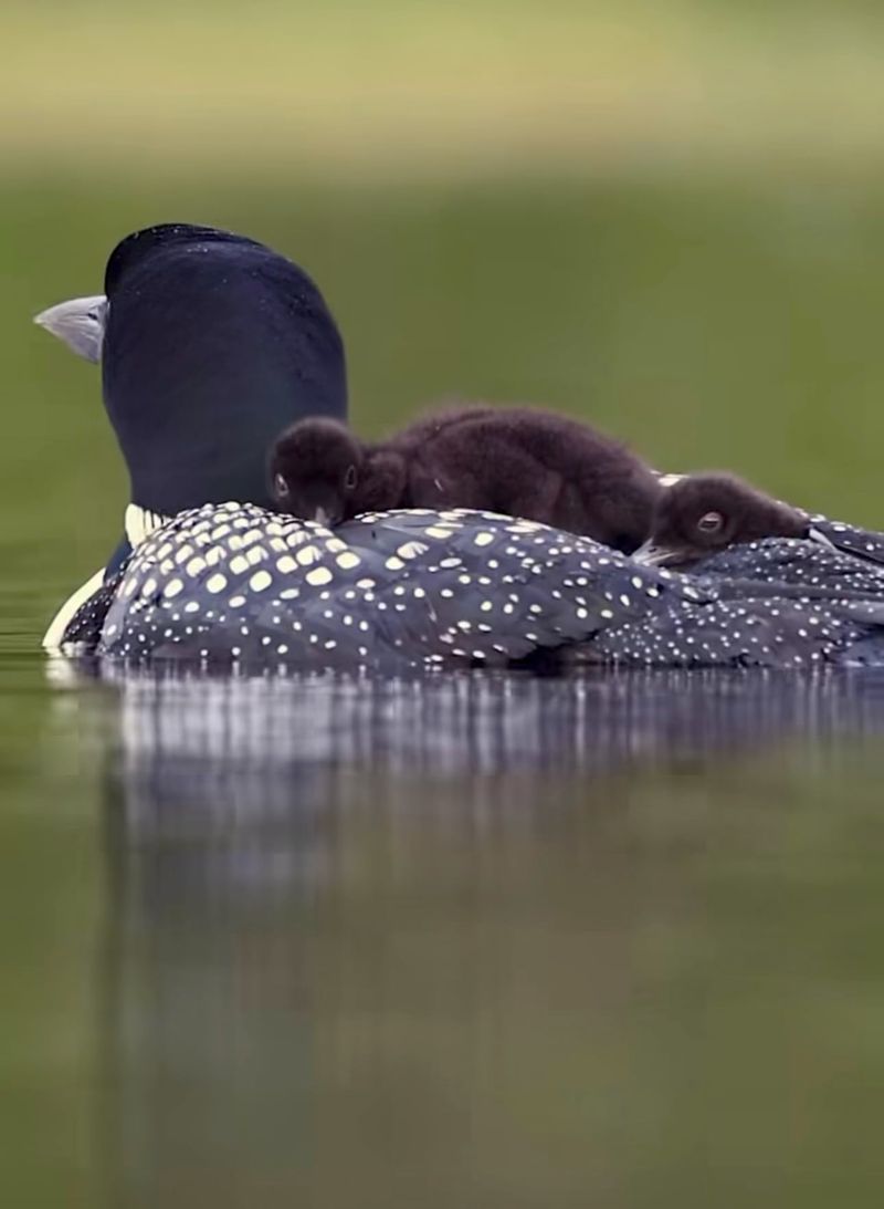 Parents Leave First, And The Kids Figure It Out Parents Leave First, And The Kids Figure It Out