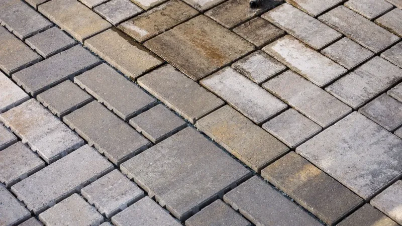 Paved Surfaces Leave Nowhere To Breed