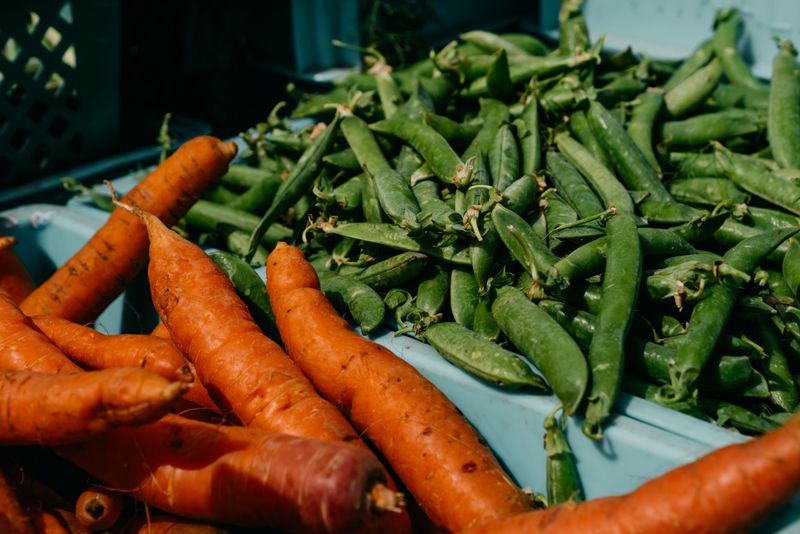 Peas Feed The Soil For Carrots Peas Feed The Soil For Carrots
