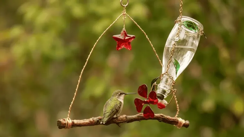 Perches Come With The Property