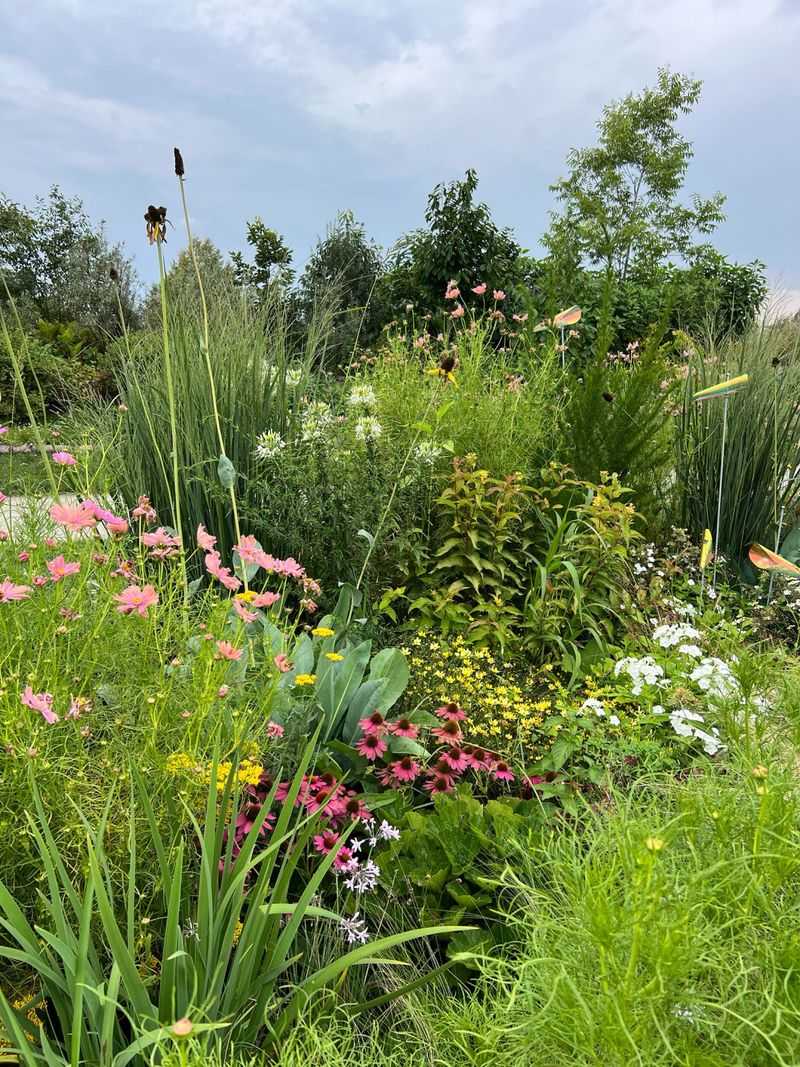 Perennial Flower Beds