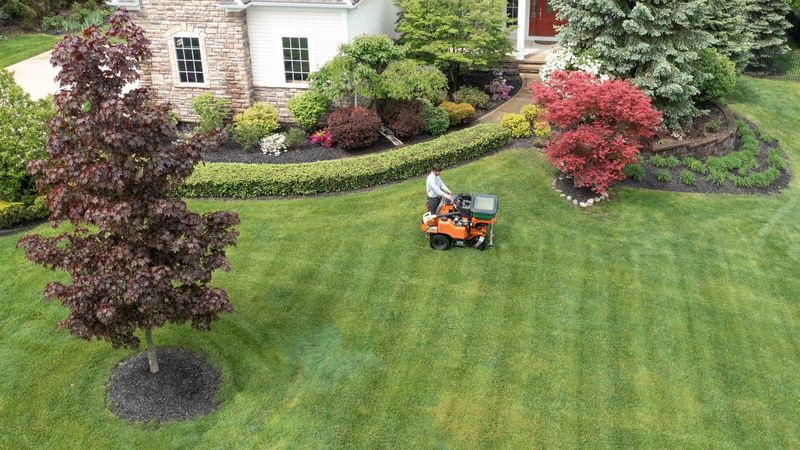 Perfect Your Mowing And Watering Routine