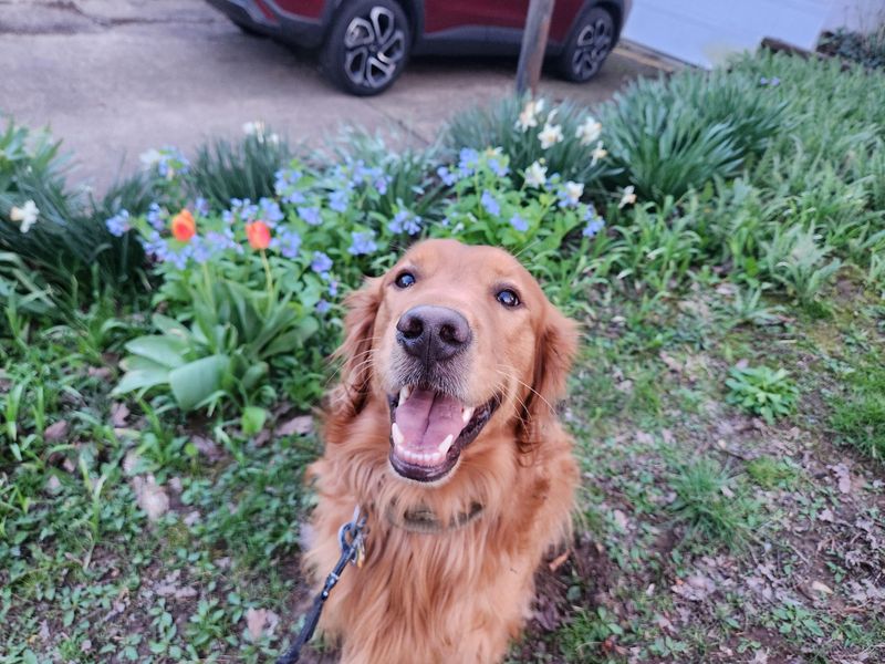 Pets Can Bring Them Closer To Home