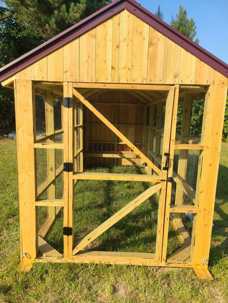 Pets Chickens And Food Scraps Need Extra Attention