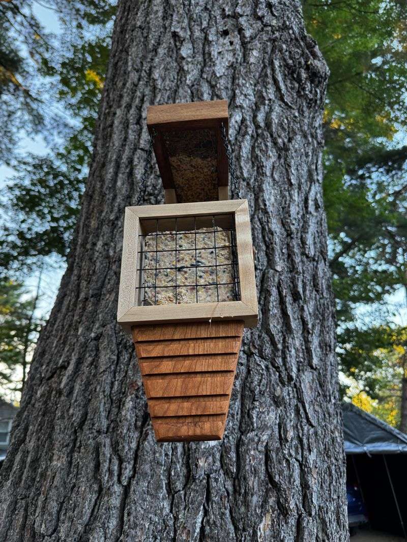 Pick A Suet Feeder With A Tail Prop Pick A Suet Feeder With A Tail Prop