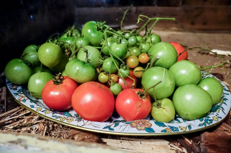 Pick Green Tomatoes That Can Finish Ripening Indoors