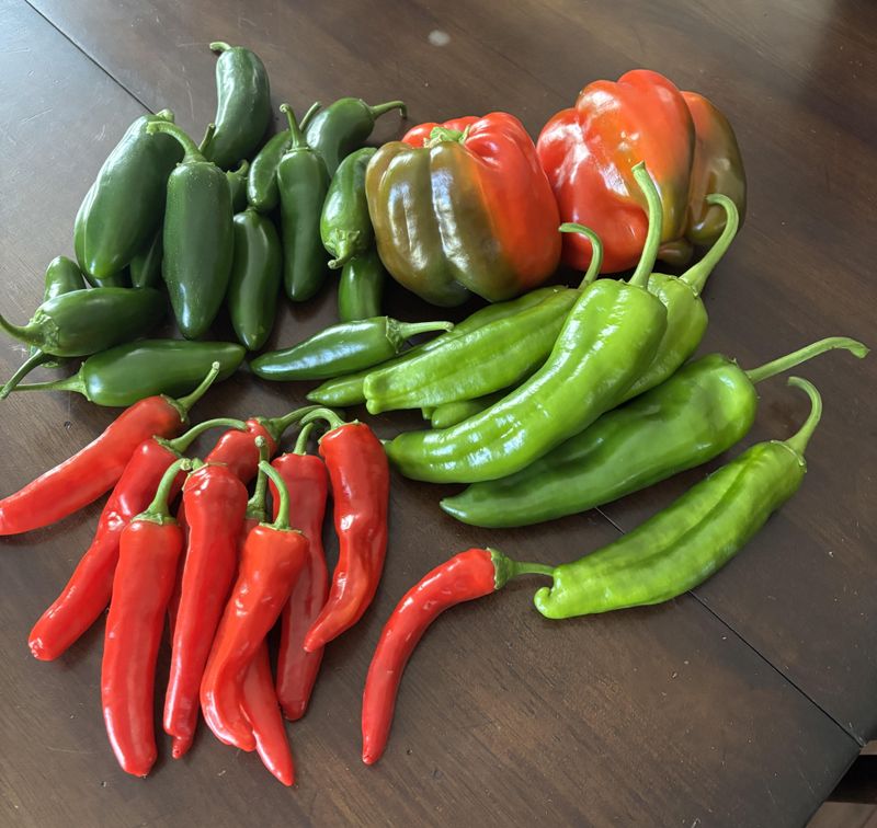 Pick Ripe Fruit Before The Temperature Drops