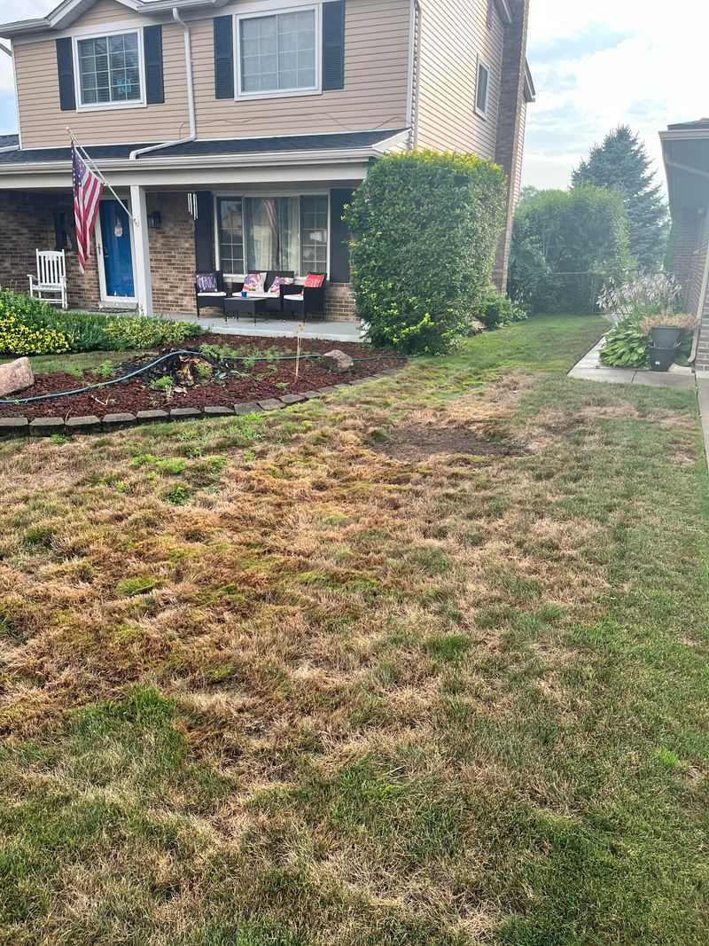 Pick Seed That Matches Your Lawn