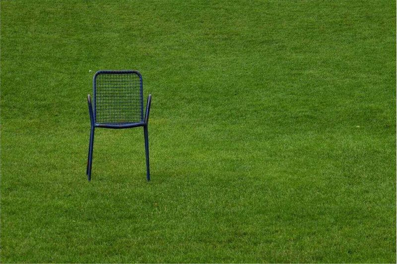 Pick The Grass That Fits Virginia Lawns Pick The Grass That Fits Virginia Lawns