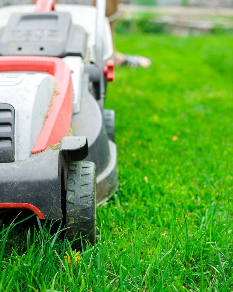 Pick The Turf That Fits Your Maintenance Style Pick The Turf That Fits Your Maintenance Style