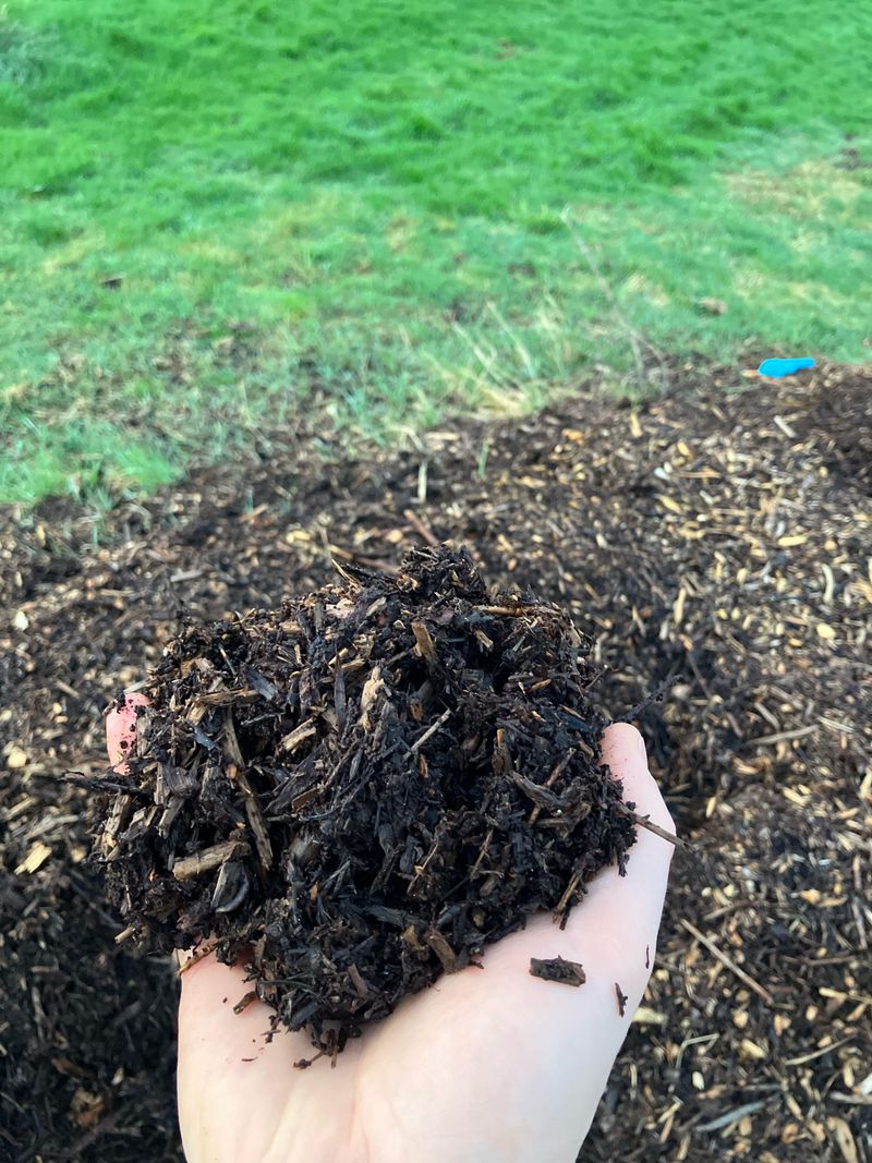 Picking Material That Suits A Dry California Yard Picking Material That Suits A Dry California Yard