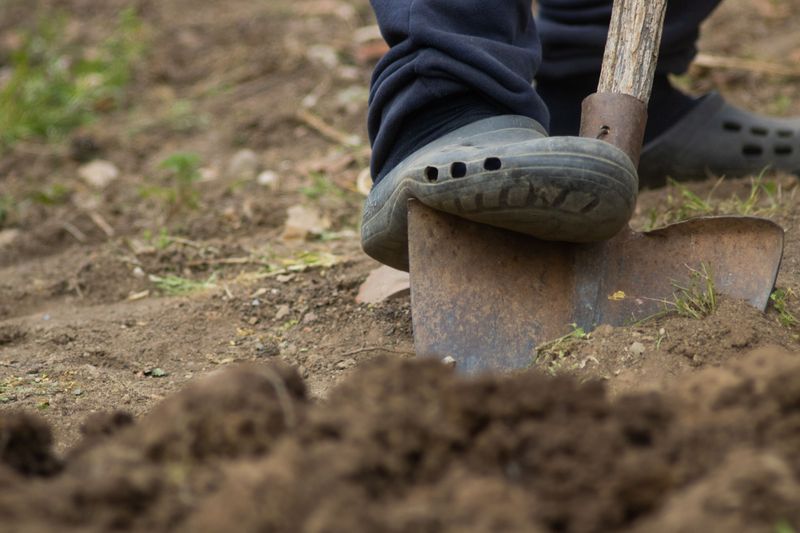Picking The Right Spot Before You Dig Picking The Right Spot Before You Dig