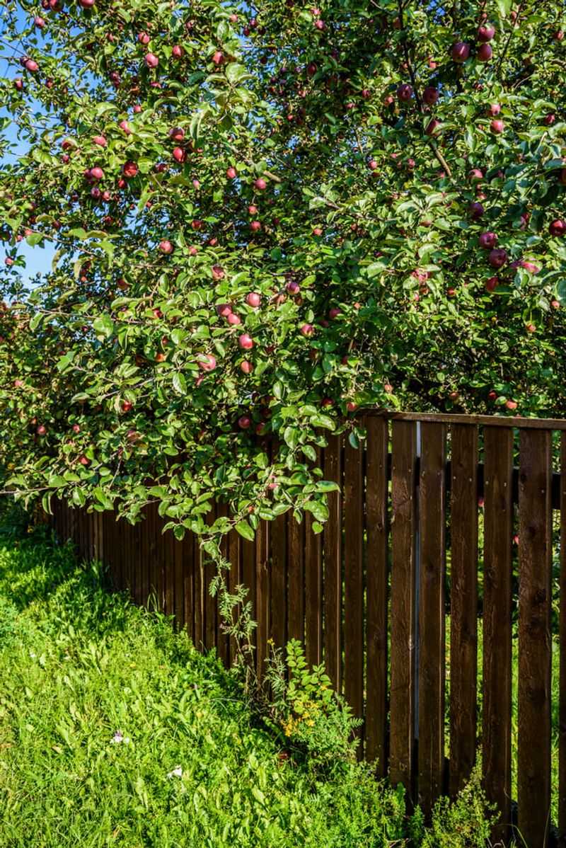 Picking and entering the yard are separate questions