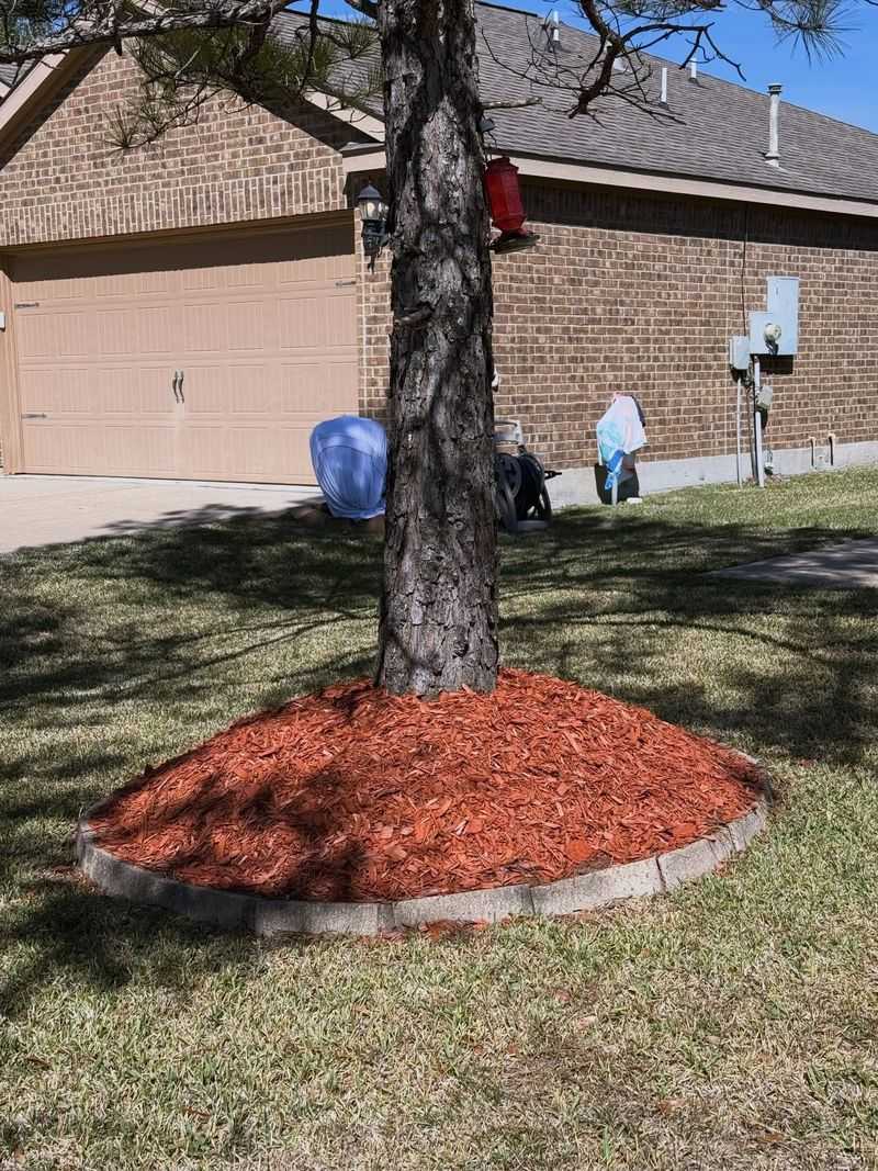 Piling Mulch Against Tree Trunks Piling Mulch Against Tree Trunks