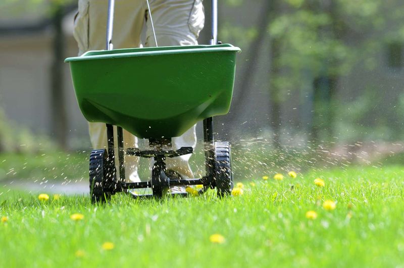 Piling On Nitrogen When Grass Is Slowing Down
