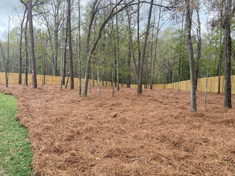 Pine Straw And Pine Bark Are Sourced Much Closer To Home Pine Straw And Pine Bark Are Sourced Much Closer To Home