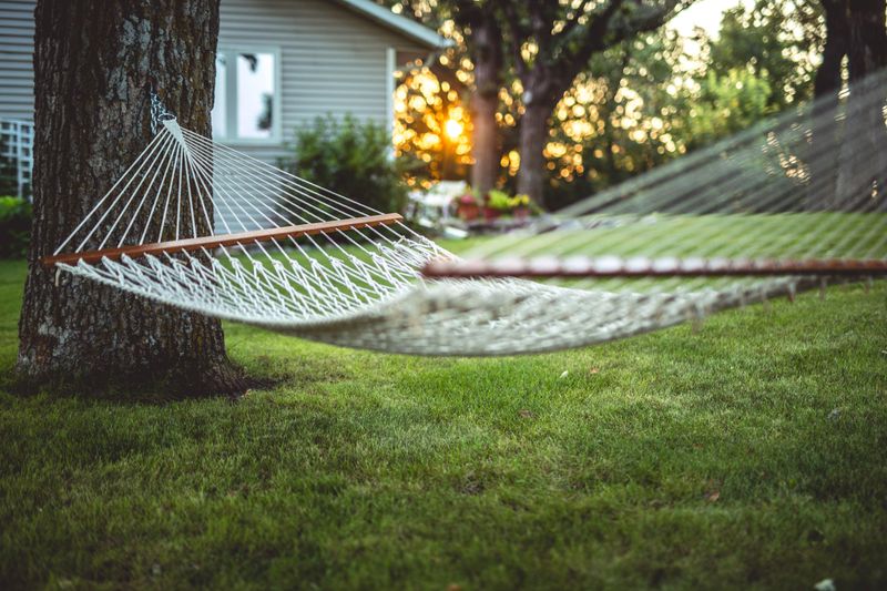 Places Around Your Yard Where They Like To Hang Out