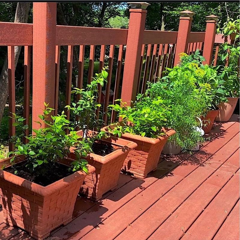 Plan Next Season’s Balcony Herb Garden Before Winter Plan Next Season’s Balcony Herb Garden Before Winter