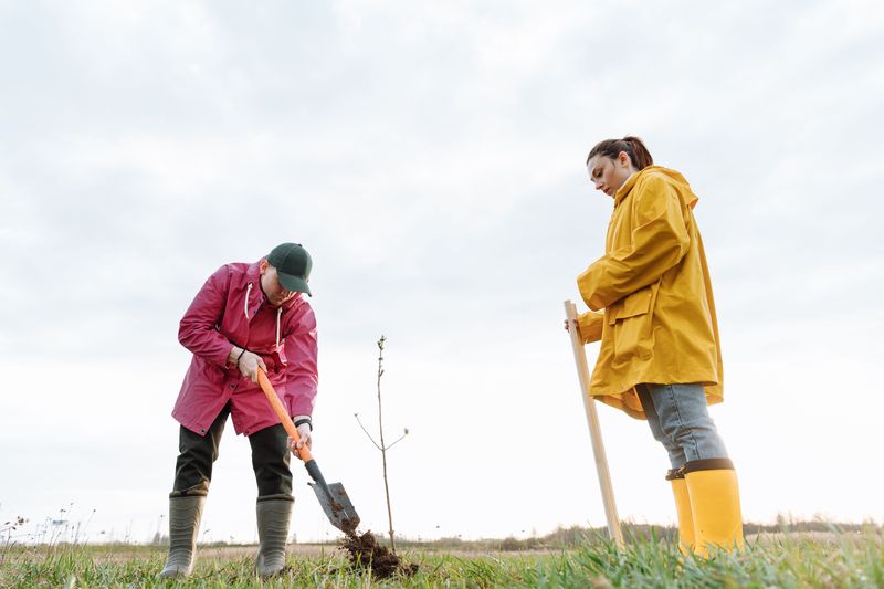 Plan Removal And Replanting On Your Own Timeline