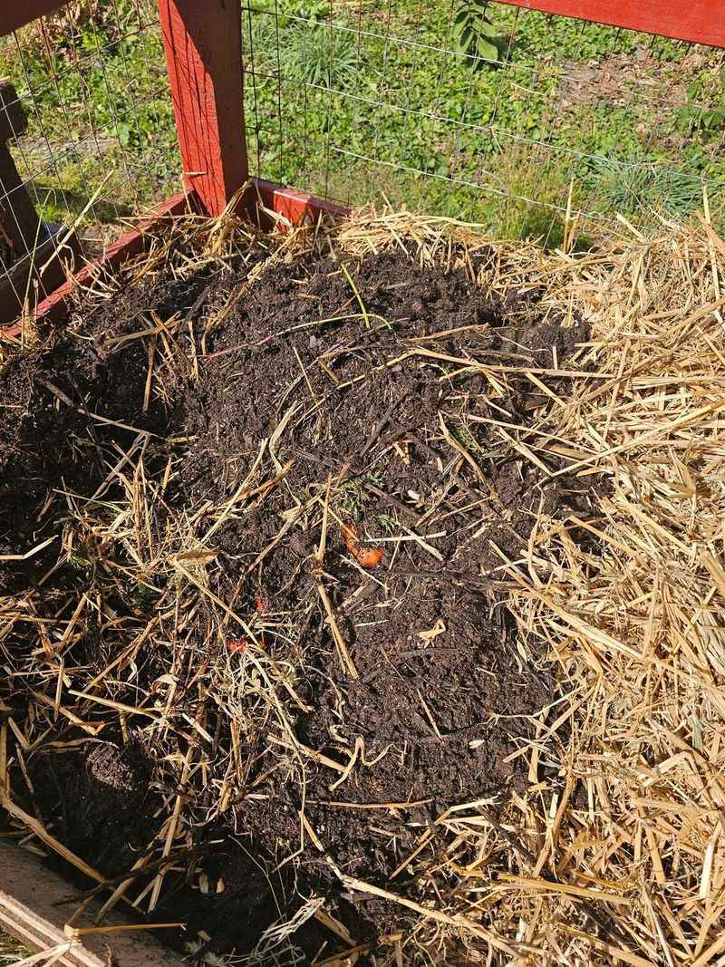 Plan Spring Success During Fall Cleanup