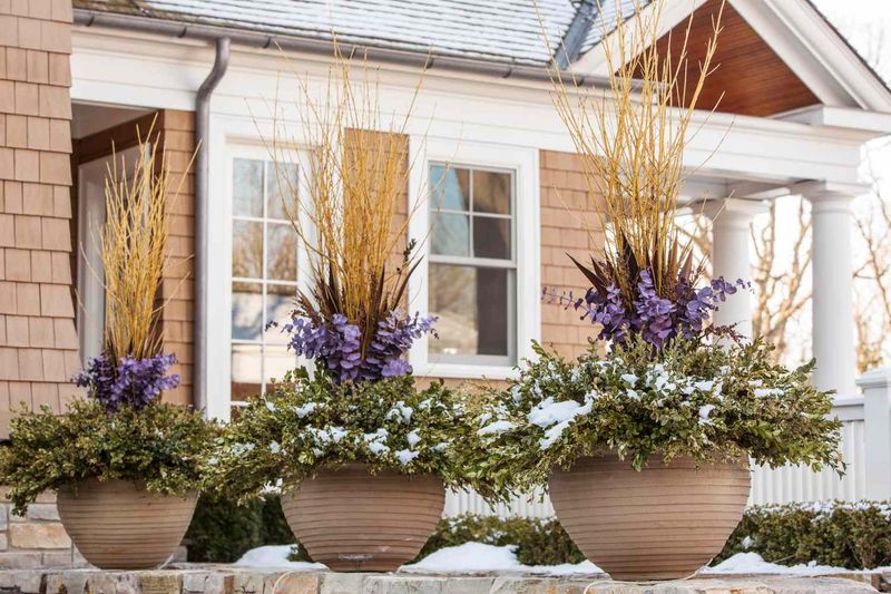 Planning Ahead For A Stronger Fall Garden Next Year Planning Ahead For A Stronger Fall Garden Next Year