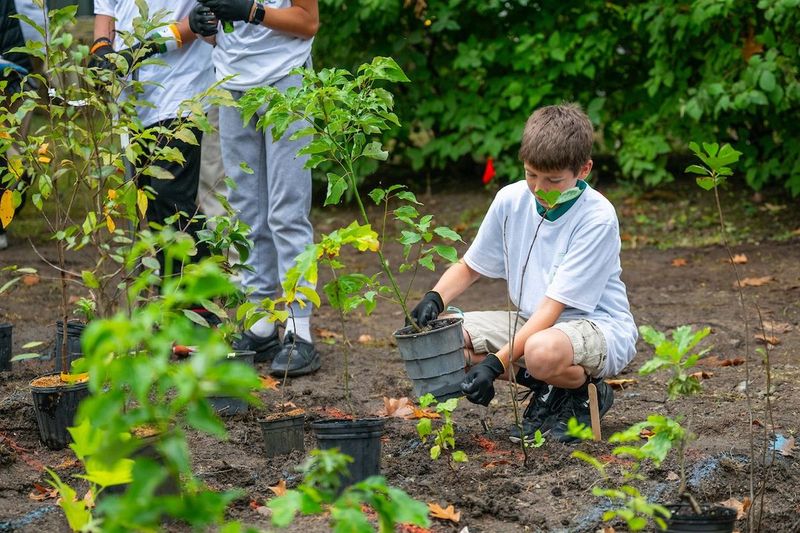 Plant New Trees And Shrubs While Soil Stays Warm