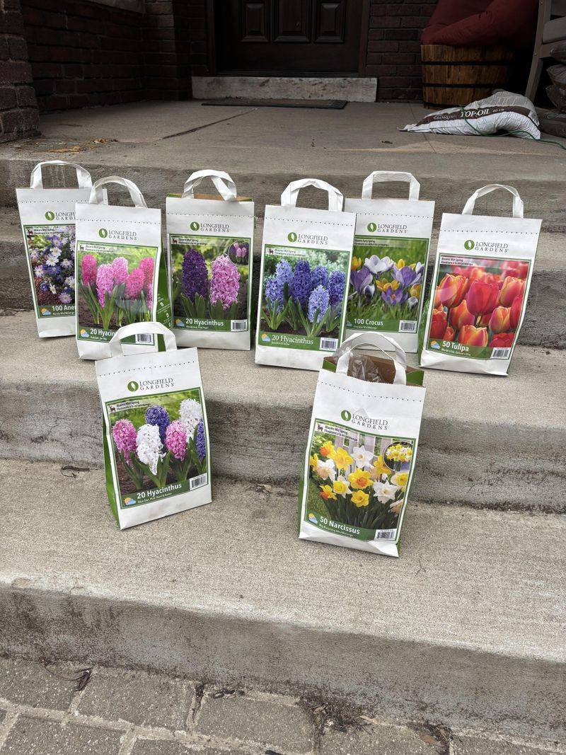 Plant Spring Flowering Bulbs Before The Soil Cools