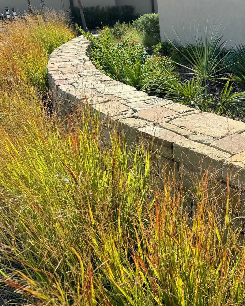 Plant This Native To Help Stabilize Slopes