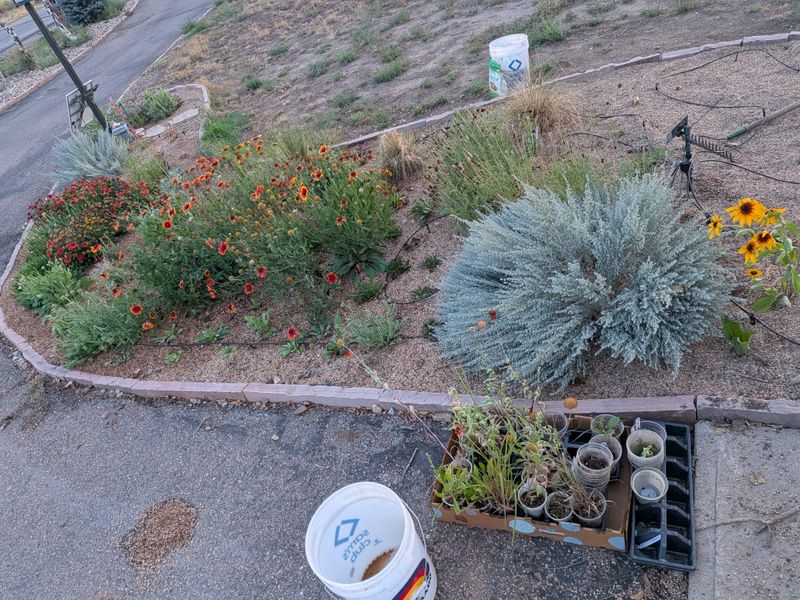 Planting Before Rain Gets A Head Start