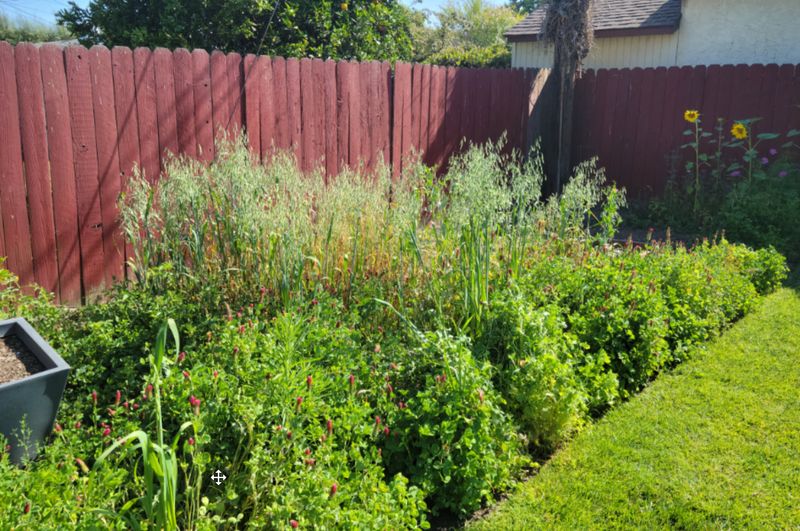 Planting Sacrificial Food Plots Away From Main Garden