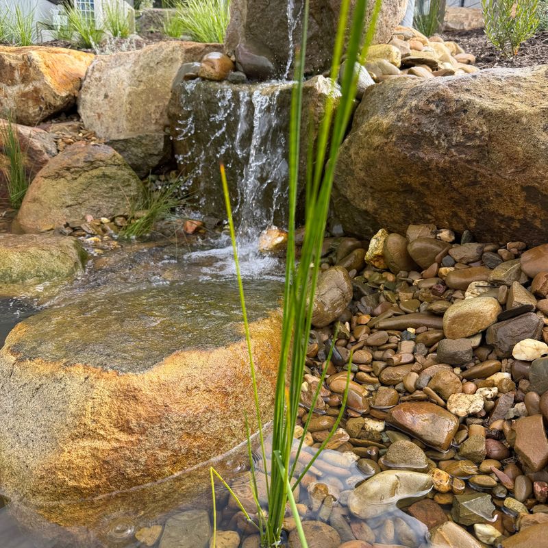 Ponds And Water Features Become Less Active Ponds And Water Features Become Less Active