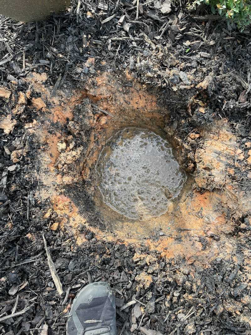 Poor Drainage Can Keep The Root Zone Too Wet