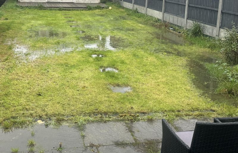 Poor Drainage Creates Wet Spots Across The Yard